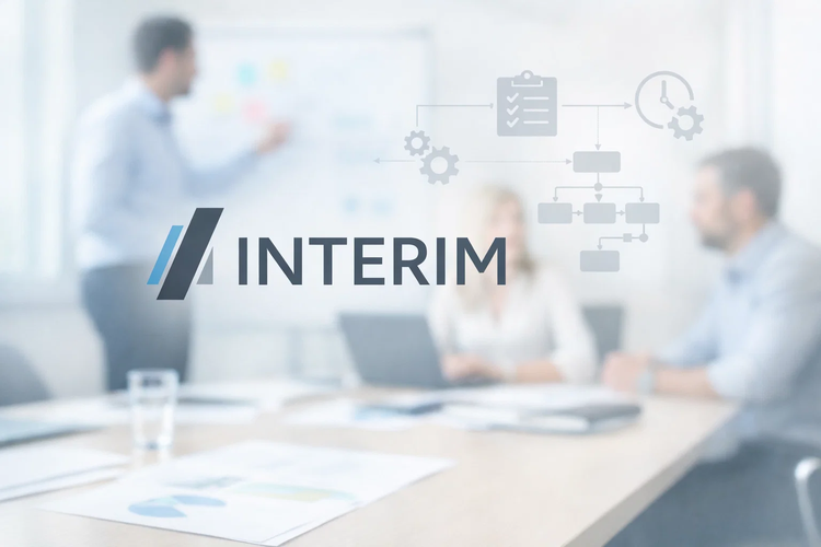 Interim Manager Projektmanagement